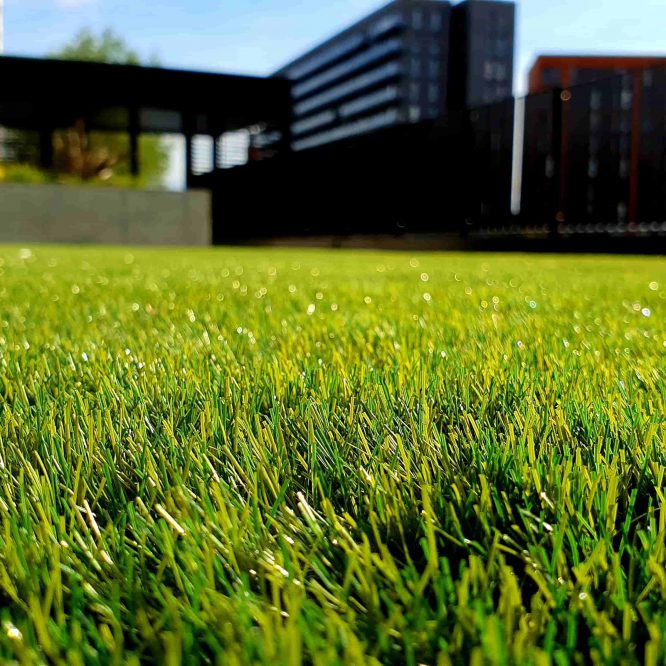 Koop een verticuteermachine of je gras mee bij te houden